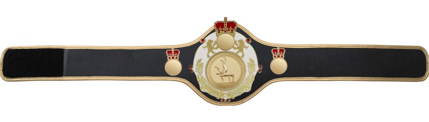 QUEENSBURY PRO LEATHER WRESTLING CHAMPIONSHIP BELT - QUEEN/W/G/WRESTG - 10+ COLOURS QUEENSBURY PRO LEATHER WRESTLING CHAMPIONSHIP BELT - QUEEN/W/G/WRESTG - 10+ COLOURS